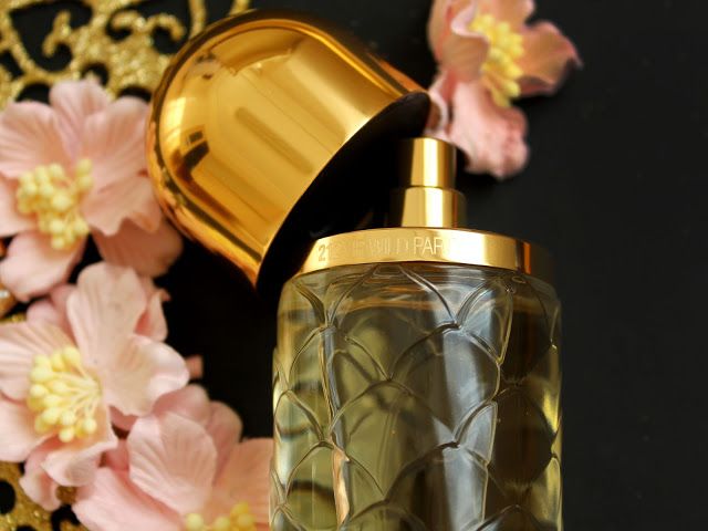 212 VIP Wild Party 1.1 Premium