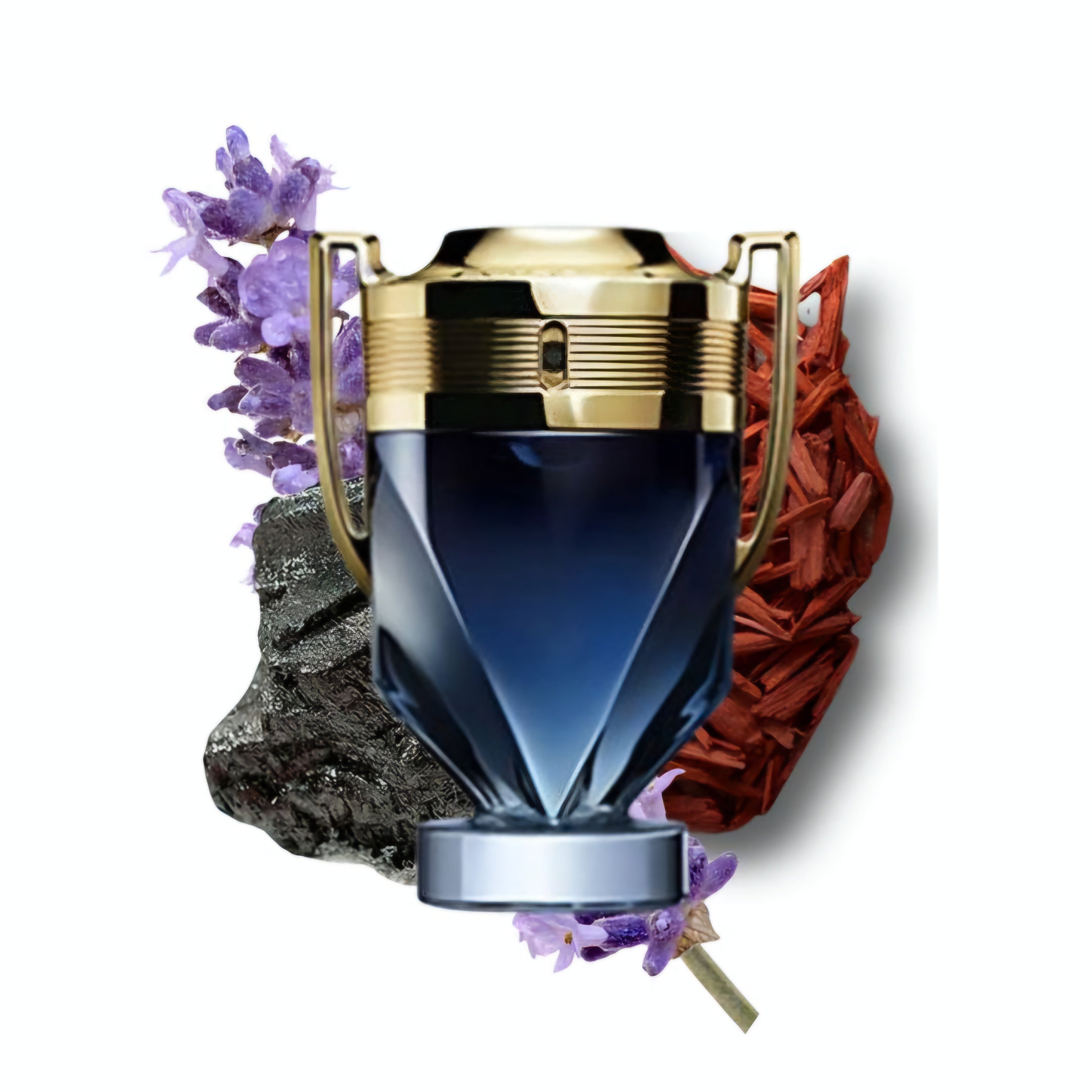 Invictus Parfum 100ml EDP 1.1 Premium
