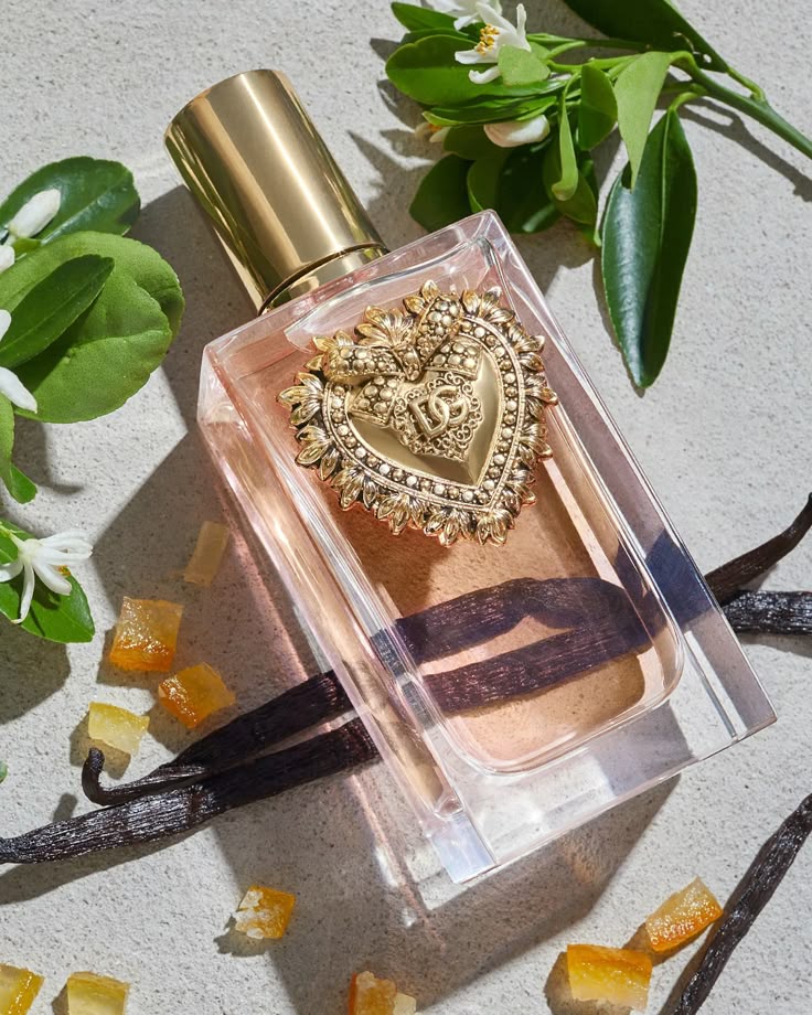 Devotion Dolce&Gabbana 1.1 Premium