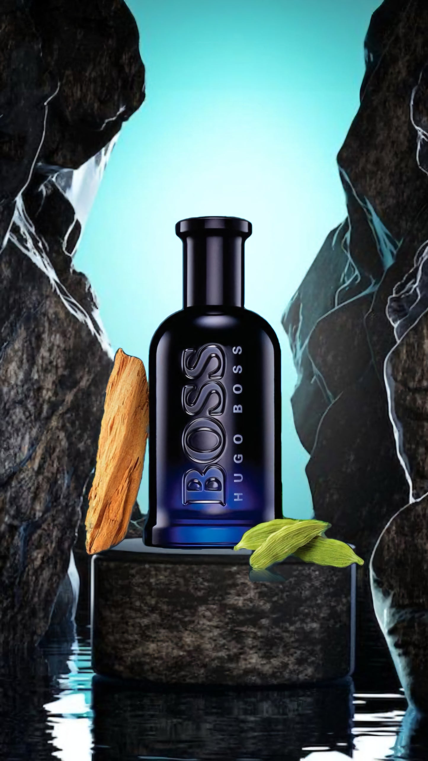 Hugo Boss Bottled Night 100ml EDT 1.1 Premium