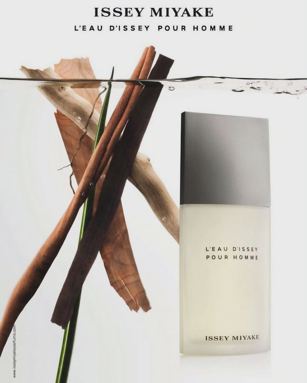 L'Eau d'Issey Pour Homme Issey Miyake 125 EDT 1.1 Premium
