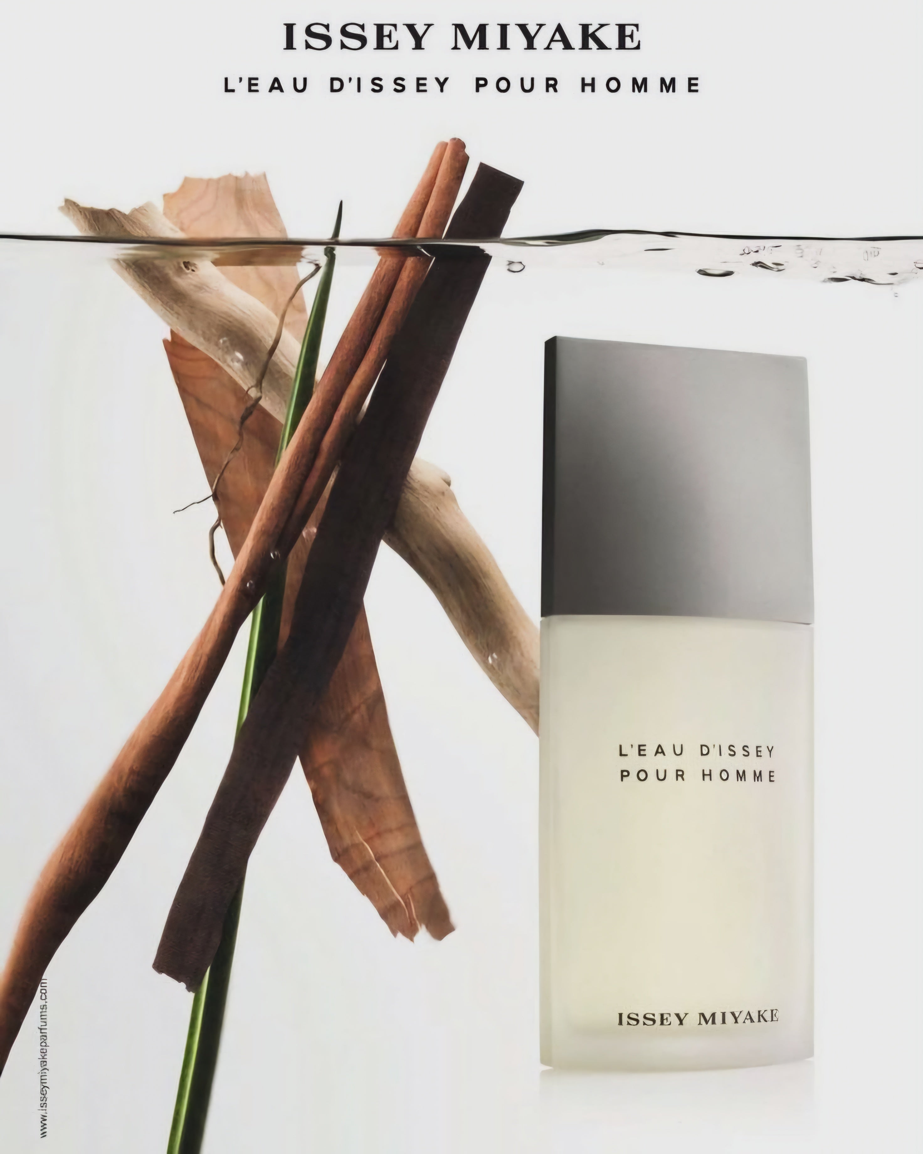 L'Eau d'Issey Pour Homme Issey Miyake 125 EDT 1.1 Premium