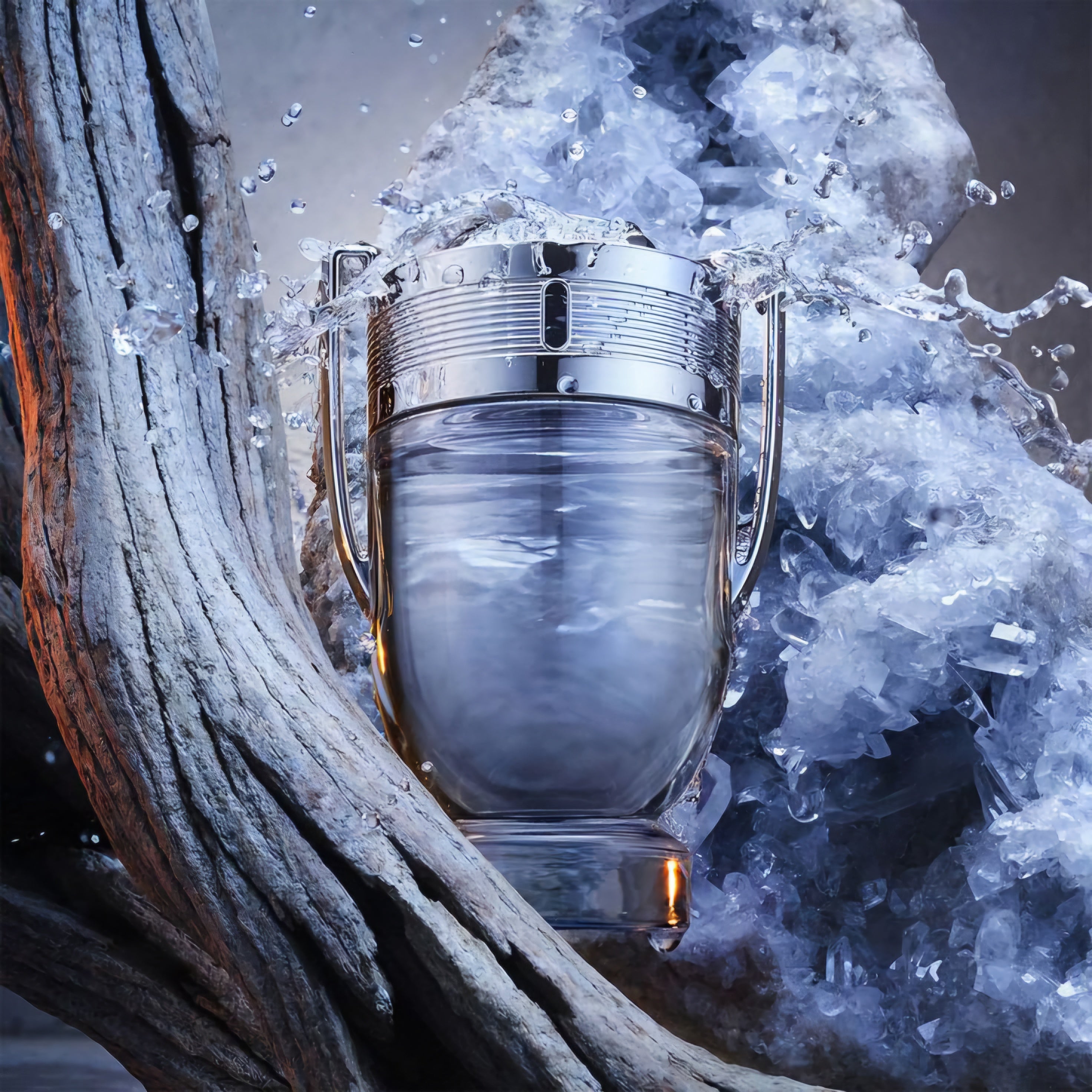 Invictus Clásica 100ml EDT 1.1 Premium