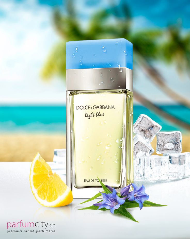Light Blue Dolce&Gabbana 1.1 Premium