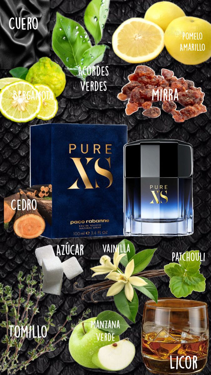 Pure XS Rabanne 1.1 Premium