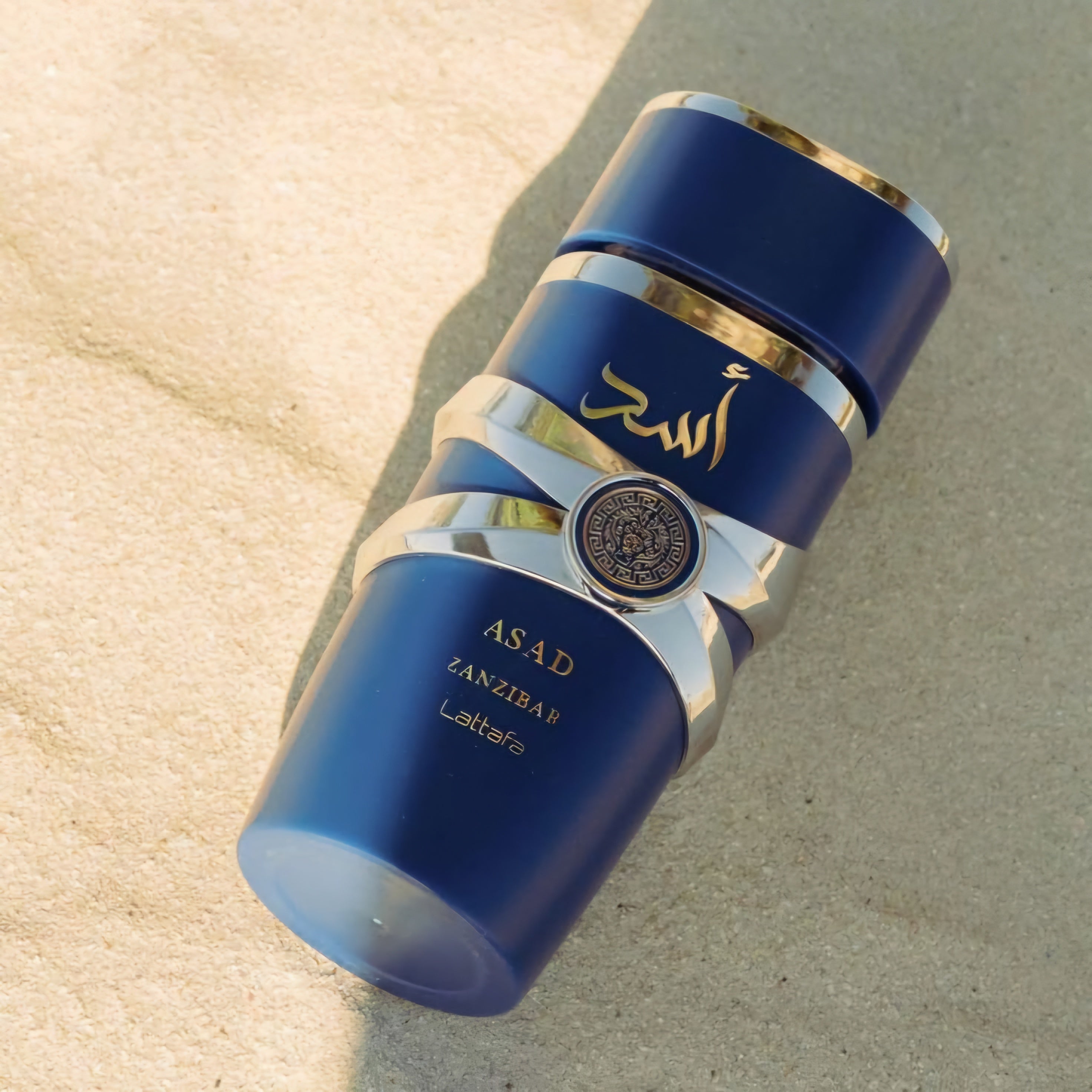 Lattafa Asad Zanzibar 100ml EDP 1.1 Premium