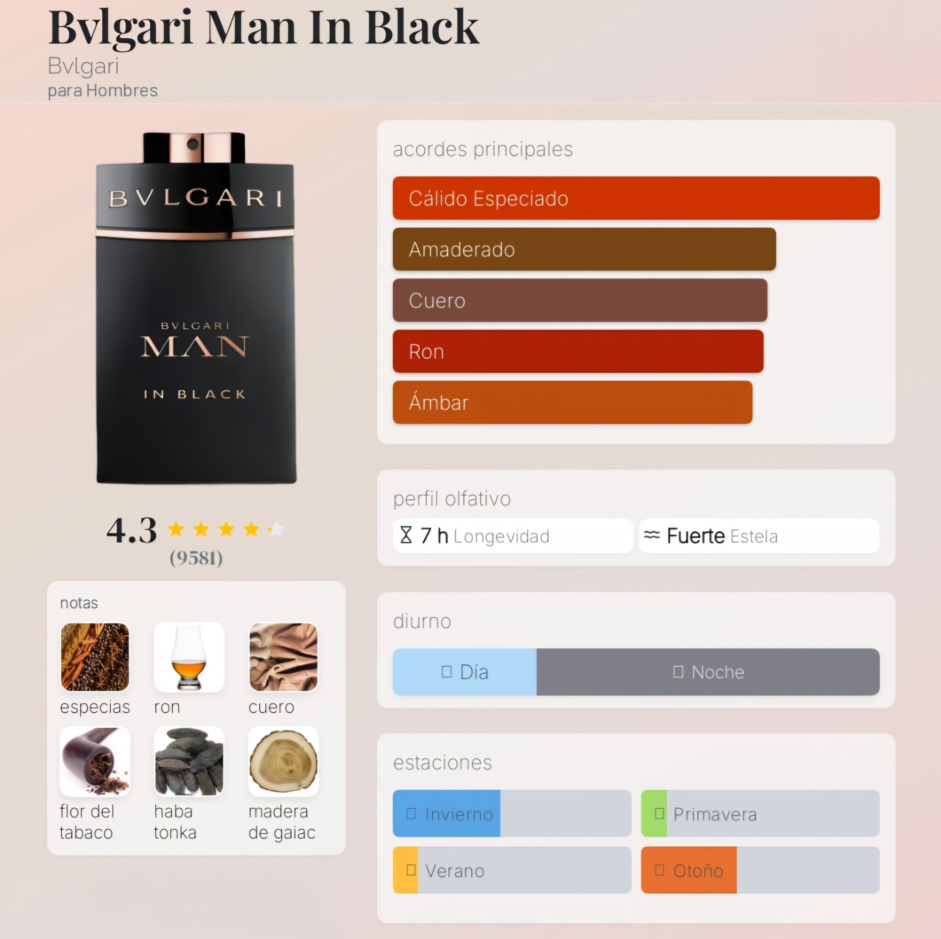 Bvlgari Man In Black EDP 100ml 1.1 Premium
