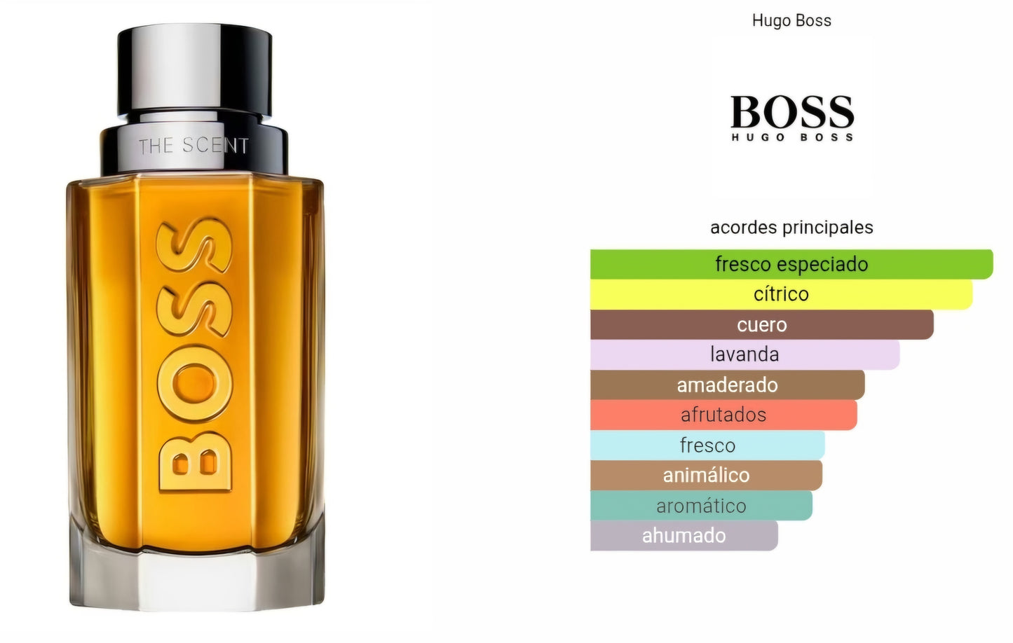 Hugo Boss Bottled The Scent 100ml EDT 1.1 Premium
