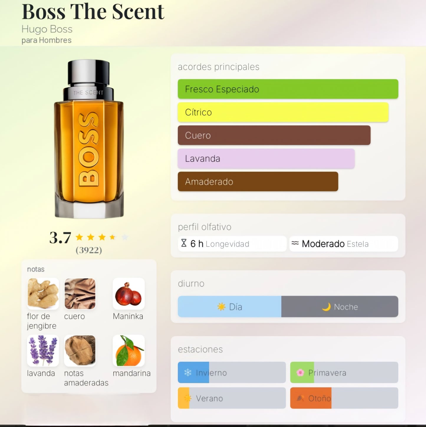 Hugo Boss Bottled The Scent 100ml EDT 1.1 Premium