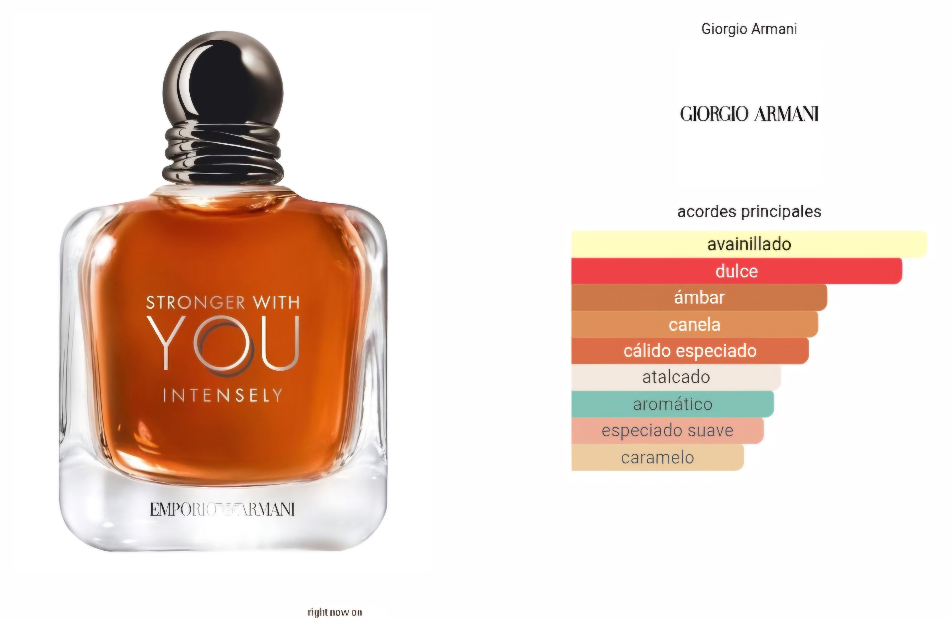 Stronger With You Intensely 100ml EDP 1.1 premium