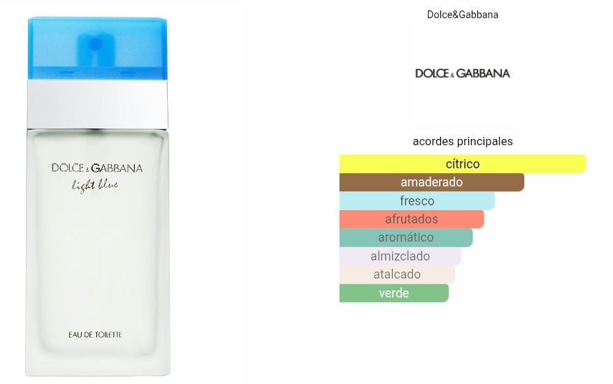 Light Blue Dolce&Gabbana 1.1 Premium