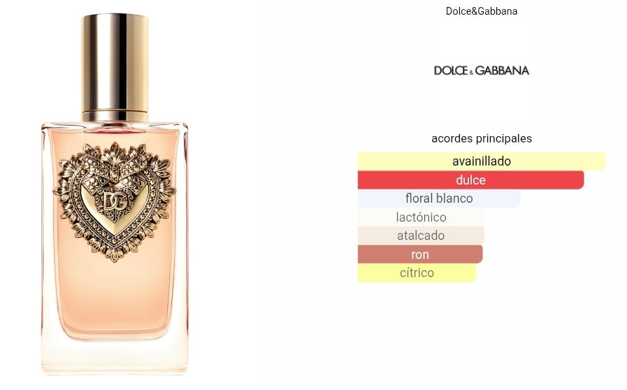 Devotion Dolce&Gabbana 1.1 Premium