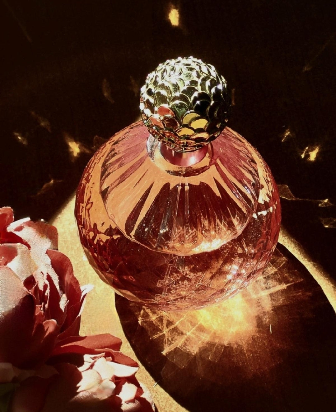 Dazzle Paris Hilton 1.1 Premium