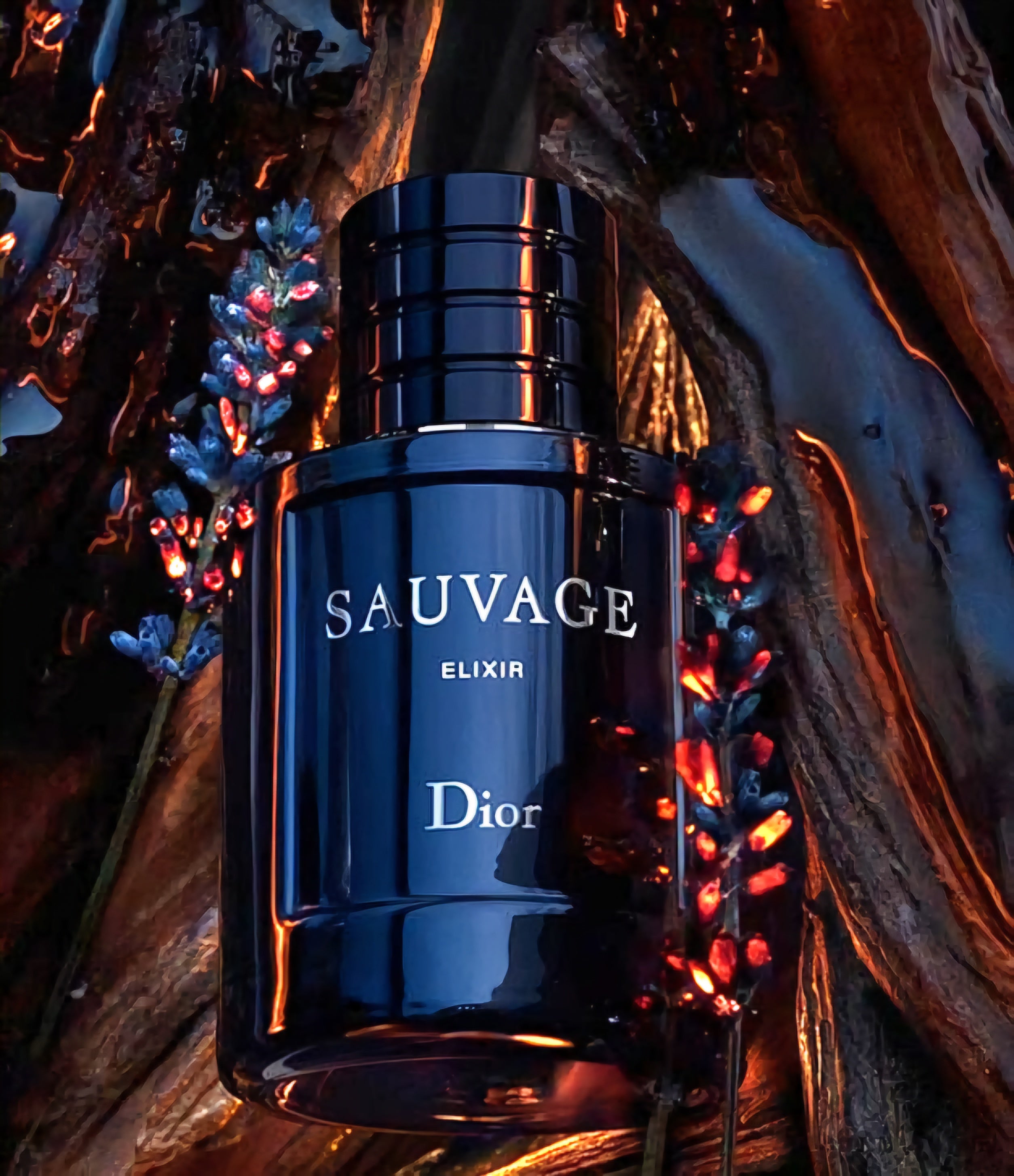 Sauvage Elixir Dior 100ml EDP 1.1 premium