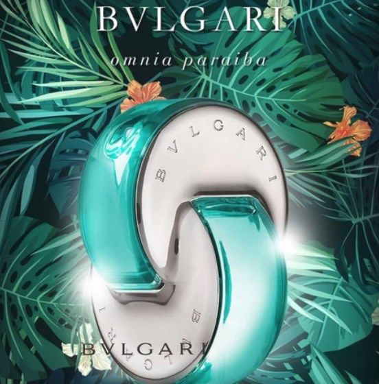Omnia Paraiba Bvlgari 1.1 Premium