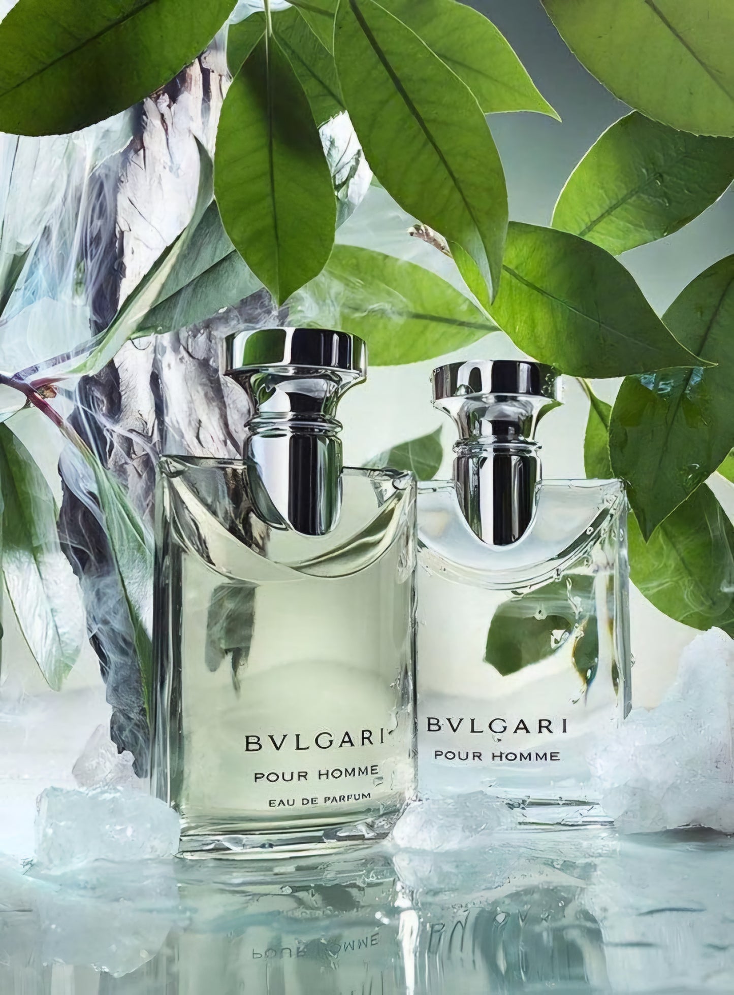 Bvlgari Pour Homme 1.1 Premium