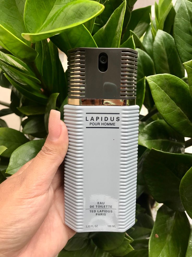 Lapidus Pour Homme 1.1 Premium